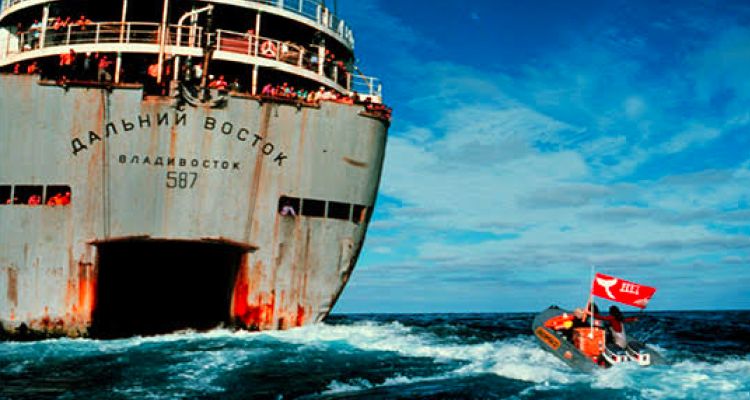 How to Change the World takes us behind the Greenpeace legacy