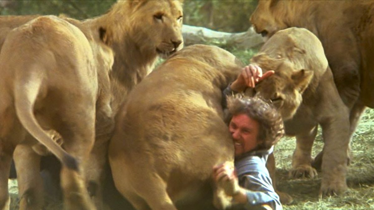 What to say about Roar…