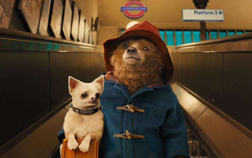 Paddington gets right more than the bear necessities